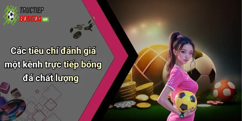 Các tiêu chí đánh giá một kênh trực tiếp bóng đá chất lượng